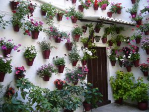 patios-cordoba-mayo