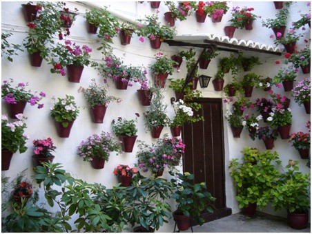 Flores, mayo, Córdoba