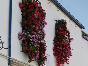 rejas-con-flores