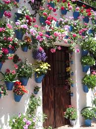 patios de cordoba