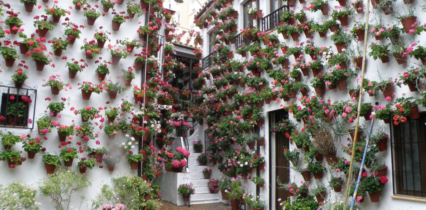 Los patios de Córdoba: arte y tradición