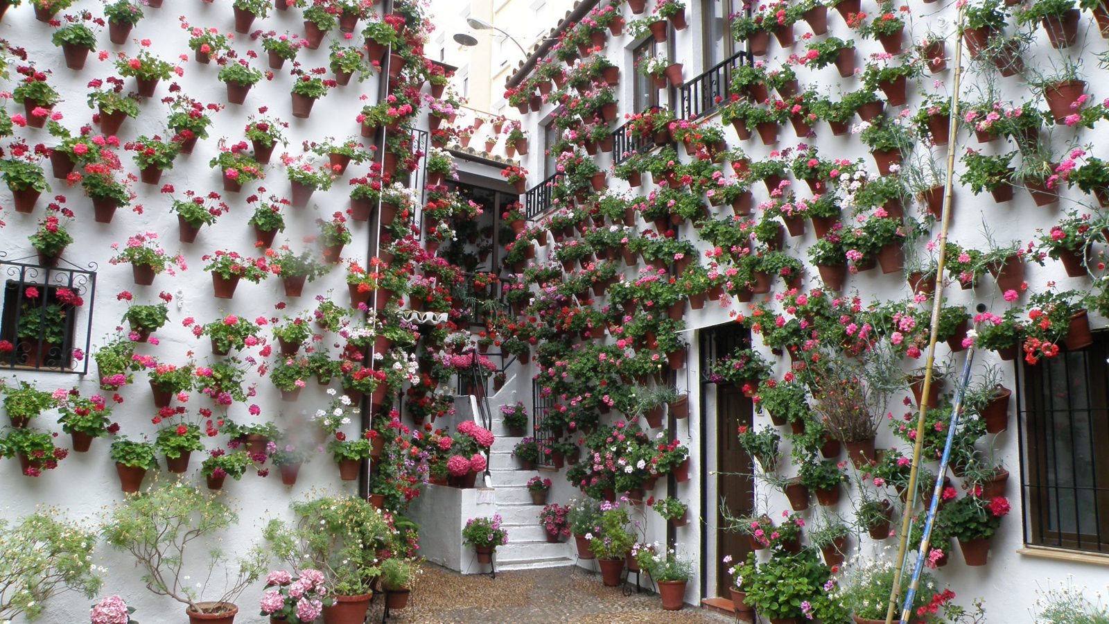 Los patios de Córdoba: arte y tradición