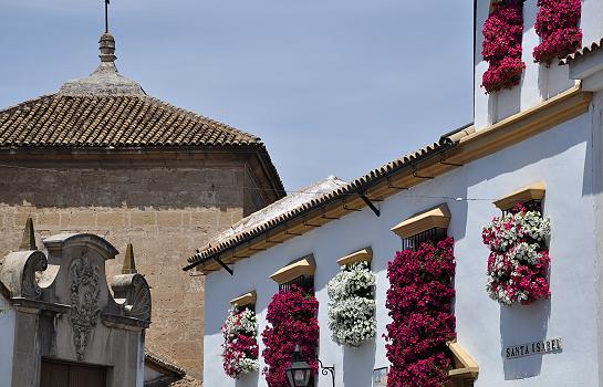 REJAS Y BALCONES