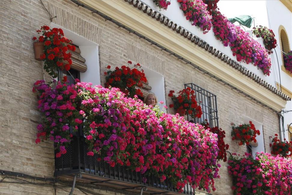 Fiesta de las rejas y balcones. Fuente: Diariocordoba.com