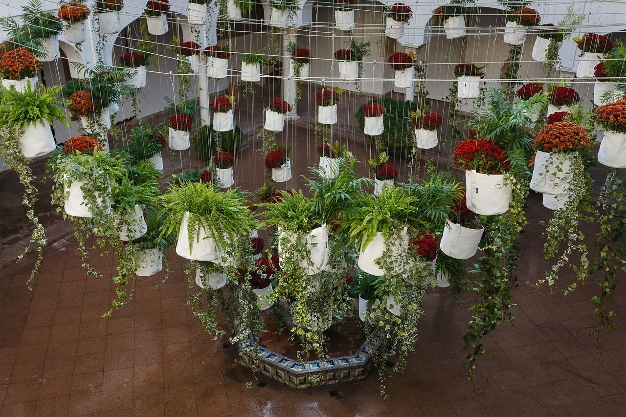 FLORA. Festival Internacional de las flores