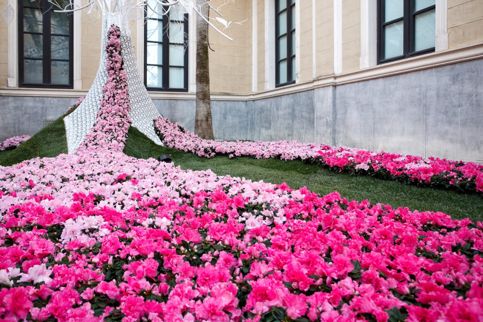 FLORA. Festival Internacional de las flores en Córdoba